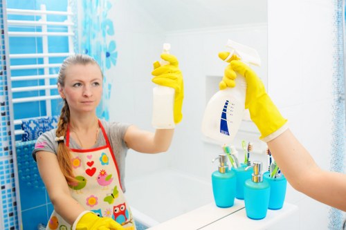 Professional oven cleaning in Roehampton with a focus on deep cleaning and kitchen hygiene
