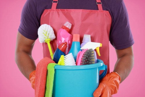 Professional home cleaners providing cleaning support in Roehampton