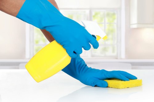 Professional carpet cleaning in a Roehampton living room