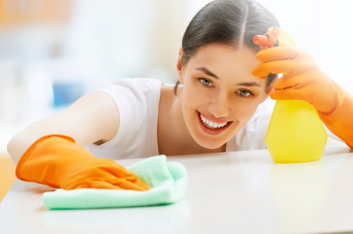 Flexible payment options for secure oven cleaning services in Roehampton