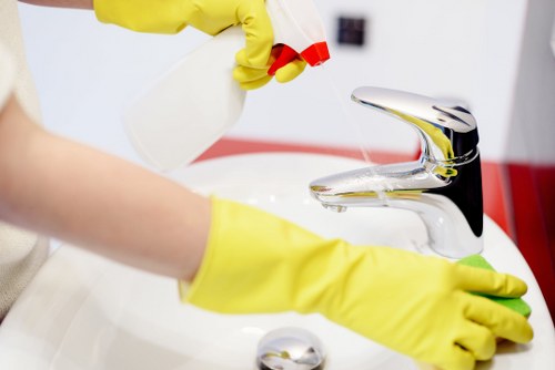 Thorough bathroom deep cleaning service in Roehampton