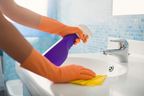 Thorough domestic cleaning service in Roehampton