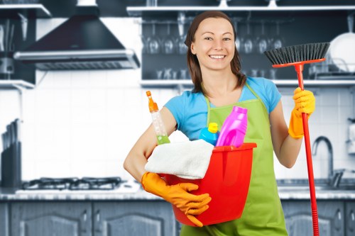 Eco-friendly home cleaning in Roehampton for a fresh household