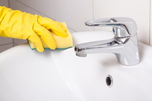 Kitchen oven cleaning process with professional equipment and care