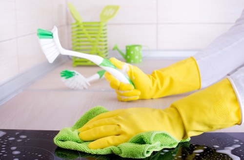 Deep upholstery cleaning service for fabric chairs in Roehampton