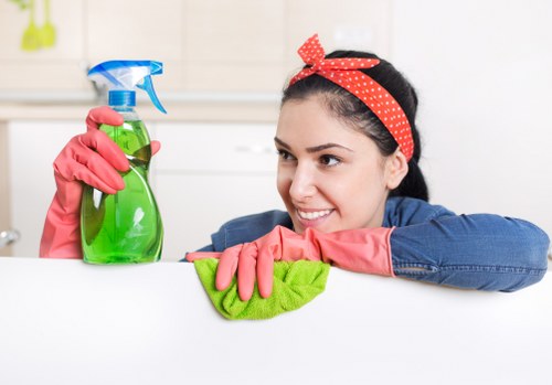 Bathroom cleaning support for Roehampton homes