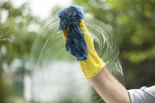 Experienced oven cleaners in Roehampton providing thorough appliance care