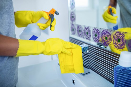 Deep oven cleaning example for a larger Roehampton family home