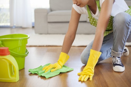 Eco-friendly cleaning company in Roehampton