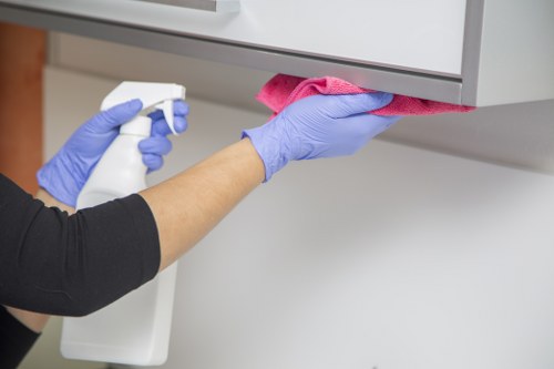 Detailed Roehampton oven cleaning service showing care for appliances and kitchen surfaces
